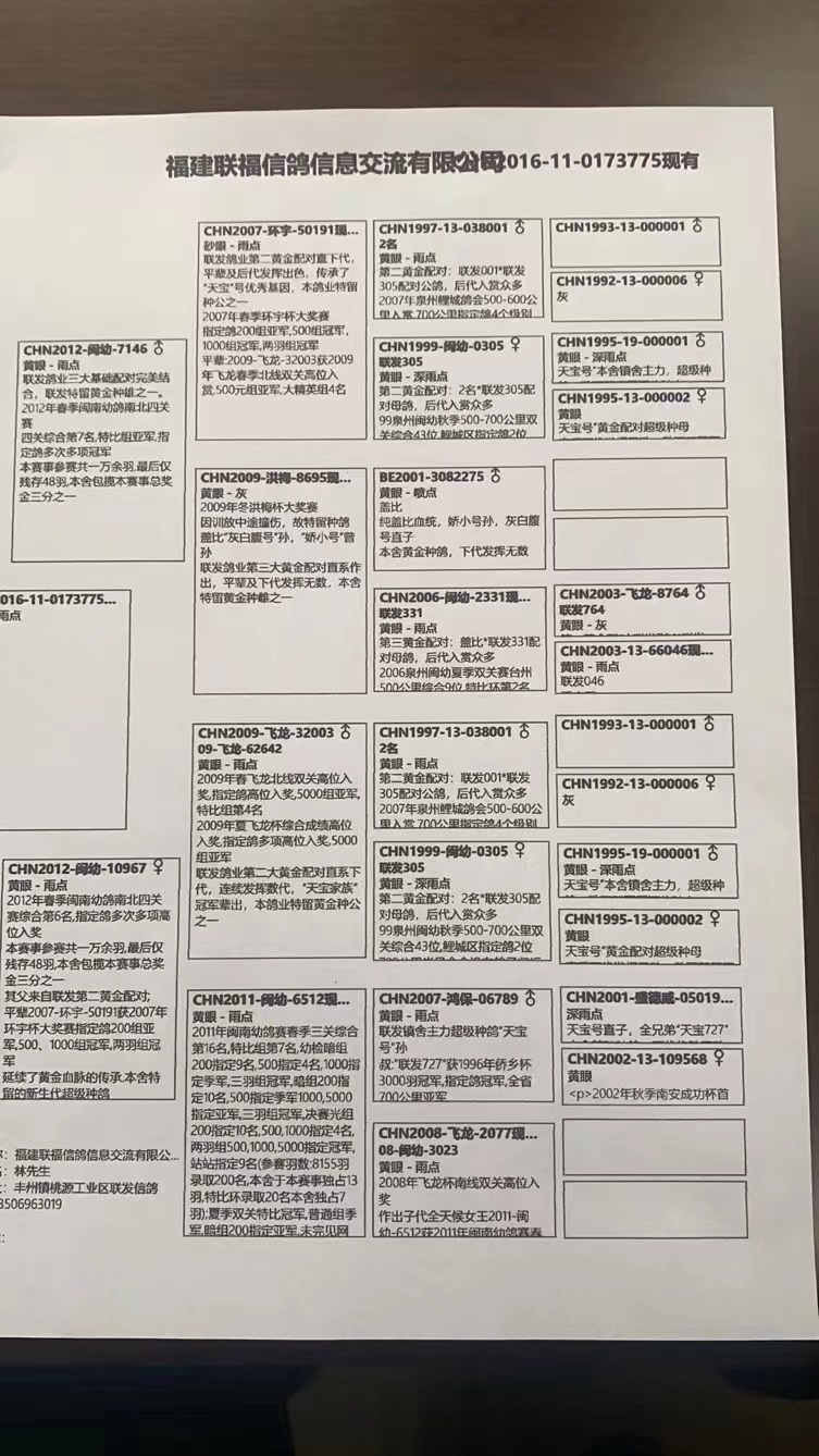 联发鸽业 林祖国